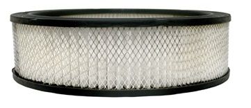 Corvette C3 AC-Delco Air Filter