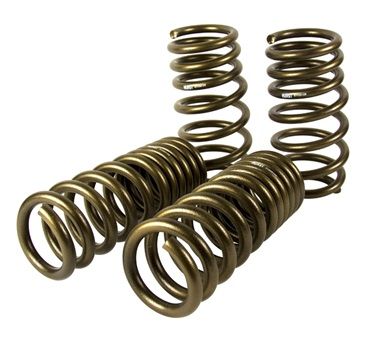 Dodge Charger Hurst Stage 1 Coil Spring Kit